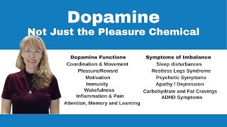 Demystifying Neurotransmitters Serotonin Dopamine and Beyond [upl. by Rivard]