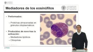 Eosinófilos   UPV [upl. by Faden578]