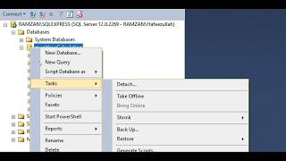 How to import and export database in SQL Server 2014 [upl. by Llehsem873]