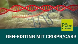 Crispr cas9 gene editing explained [upl. by Enylorac]