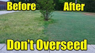 Overseeding Bermuda Lawn [upl. by Yoral165]