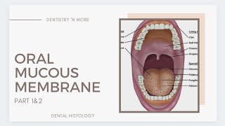 ORAL MUCOUS MEMBRANE [upl. by Beaston179]