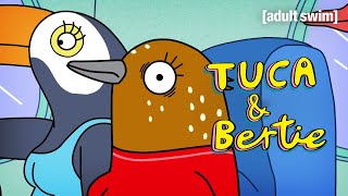 Bad News for Bertie  Tuca amp Bertie  adult swim [upl. by Adriell]