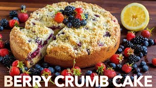 Easy Berry Crumb Cake Recipe [upl. by Whyte]