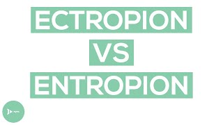 Ectropion vs Entropion  Whats the Difference [upl. by Ofloda105]