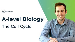 The Cell Cycle  Alevel Biology  OCR AQA Edexcel [upl. by Aerdnahc]