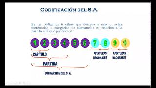 CLASIFICACIÓN Y NOMENCLATURA ARANCELARIA Primera [upl. by Cloots]