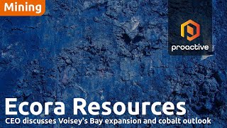 Ecora CEO discusses Voiseys Bay expansion and cobalt outlook [upl. by Thorin838]