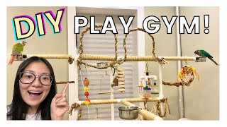 DIY BIRD PLAY GYMSTAND  Easy and Affordable PVC Play Gym For Birds [upl. by Anaer]