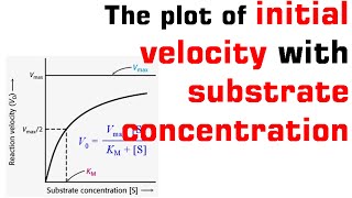 Michaelis menten plot and equation [upl. by Okihsoy524]