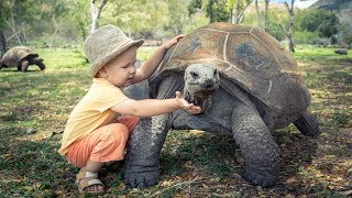 Zwierzęta w zoo [upl. by Ekalb]