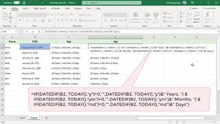 How to Calculate Age in years months and days from date of birth in Excel  Office 365 [upl. by Dom]