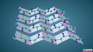 Proteins and their Structure [upl. by Nitsugua]