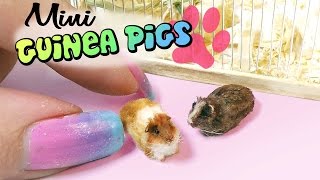 Miniature Guinea Pig Tutorial  Playpen  DollsDollhouse [upl. by Borden]