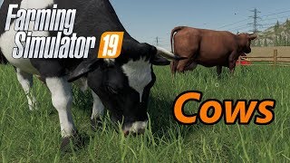 Farming Simulator 19 Tutorial  Cows [upl. by Lorene224]