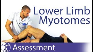 Myotomes Lower Limb  Peripheral Neurological Examination [upl. by Jasisa]