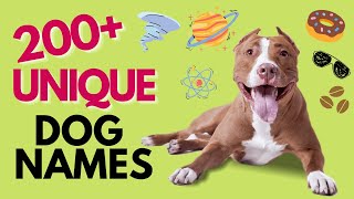 Top 200 UNIQUE Dog Names – Unisex [upl. by Aden]