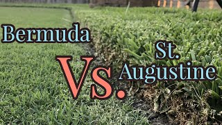 Bermudagrass vs St Augustinegrass  Warm Season Turf [upl. by Sedicla]