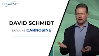 David Schmidt Explains Carnosine [upl. by Notyap]