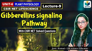 GIBBERELLIN SIGNALING PATHWAY  PHYTOHORMONEPART9 CSIR NETPLANT BIOLOGY [upl. by Anhavas855]