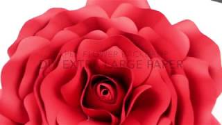 Extra Large Rose Template  DIY Paper Flower Backdrop for WeddingEvents [upl. by Pegasus]