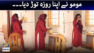 Momo Ne Roza Torr Diya Bulbulay [upl. by Ermina]