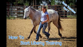 How To Start Liberty Training With Your Horse Basic Exercises Part 1 [upl. by Jr413]