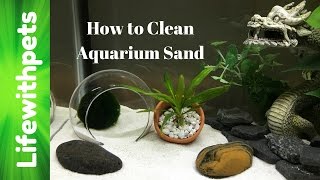 How to Clean Aquarium Sand [upl. by Ahsiemaj558]