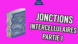 03  Les Jonctions intercellulaires Partie 1 [upl. by Fronia320]