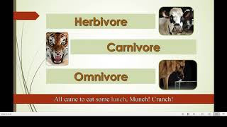 Herbivore Carnivore Omnivore Song [upl. by Wilmott]