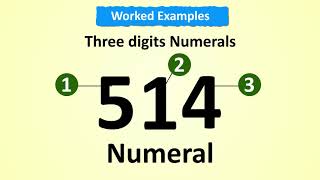 Numbers Numerals and Digits [upl. by Witha]