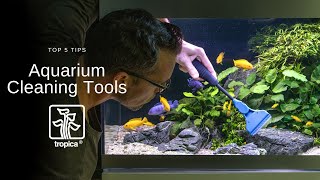 Top 5 Aquarium Glass Cleaning Tools [upl. by Irej]