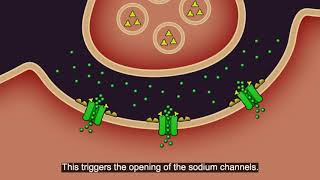 Resistance101  Insecticide classes amp modes of action [upl. by Sluiter725]