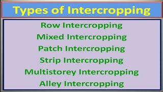 Types of Intercropping [upl. by Lelia]