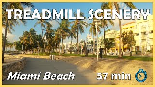 4k Treadmill Running Scenery  1 Hour Virtual Run  Miami Beach Florida [upl. by Candless553]