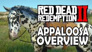 Appaloosa Overview  Red Dead Redemption 2 Horses [upl. by Gayle]