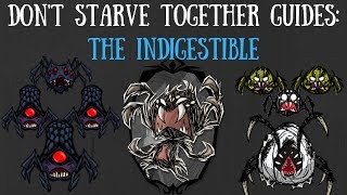 Dont Starve Together Character Guide Webber [upl. by Gerstein]