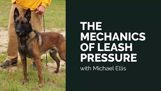 Learning Leash Pressure  Michael Ellis [upl. by Ahsiket]