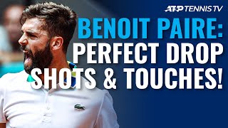 33 PERFECT Benoit Paire Drop Shots amp Touches 😍 [upl. by Michelsen]