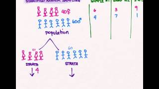 Sampling 03 Stratified Random Sampling [upl. by Lledniw]