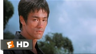 Kung Fu Movie Bruce Lee Series [upl. by Adnana483]