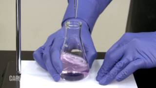 Setting up and Performing a Titration [upl. by Bernardine]