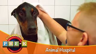 Animal Hospital  Virtual Field Trip  KidVision PreK [upl. by Otanod]