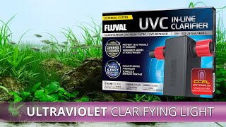 Fluval UVC InLine Clarifier  Unboxing amp Installation [upl. by Nylirej554]