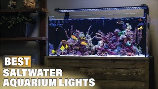 Top 10 Best Saltwater Aquarium Light 2024 [upl. by Barnard]