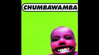 Chumbawamba Tubthumping Original Lyrics [upl. by Oicelem407]