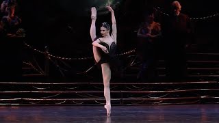 Black Swan  Odile Variation  Zakharova Osipova Nunez [upl. by Nimrac170]