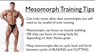 Ectomorph Endomorph or Mesomorph  Training for YOUR Body Type [upl. by Suhpoelc]