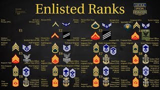 US Military All Branches ENLISTED Ranks Explained [upl. by Coppock319]