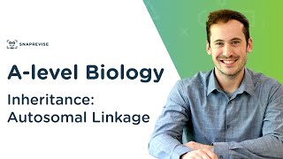 Inheritance Autosomal Linkage  Alevel Biology  OCR AQA Edexcel [upl. by Assenar]